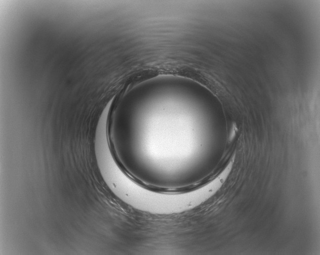 X0000067941010200604171455