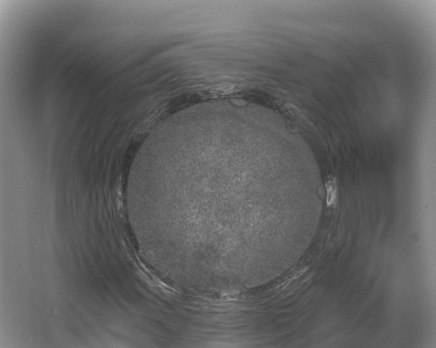 X0000067941011200604171455