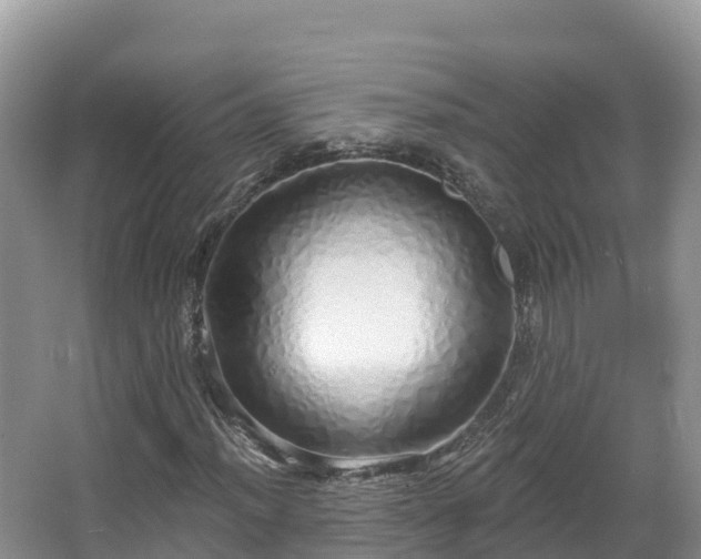 X0000067941012200604171455