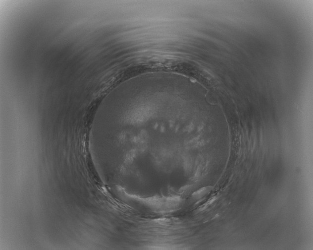 X0000067941013200604171455