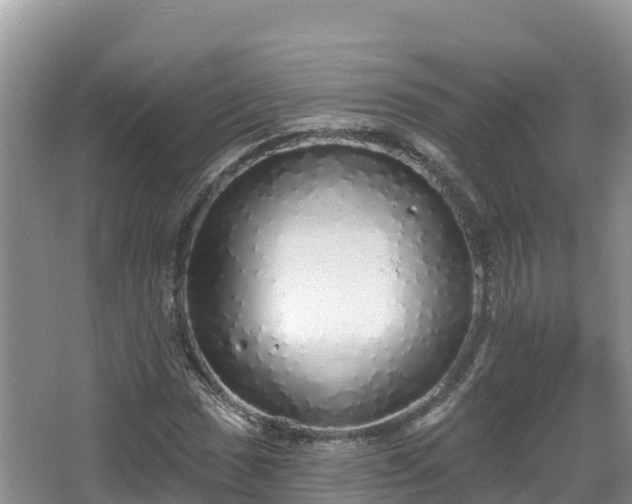 X0000067941017200604171455