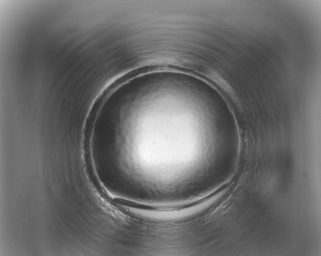 X0000067941020200604171455