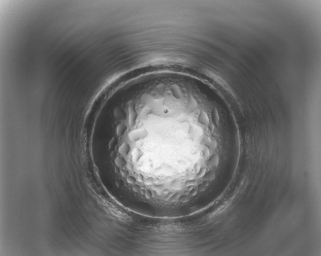 X0000067941021200604171455