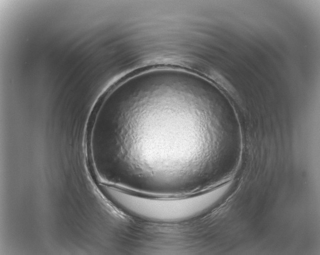 X0000067941028200604171455