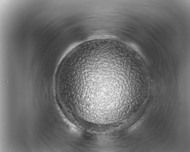 X0000067941046200604171455