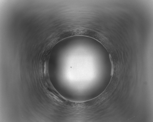 X0000067941058200604171455