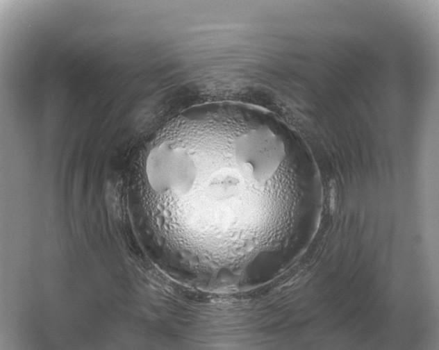 X0000067941059200604171455