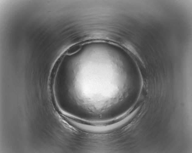 X0000067941068200604171455