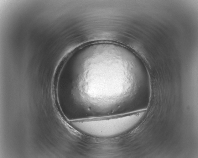 X0000067941072200604171454