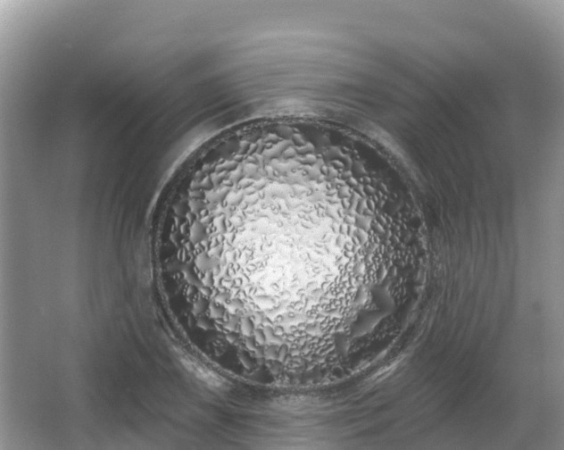 X0000067941075200604171454