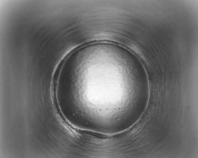X0000067941076200604171454