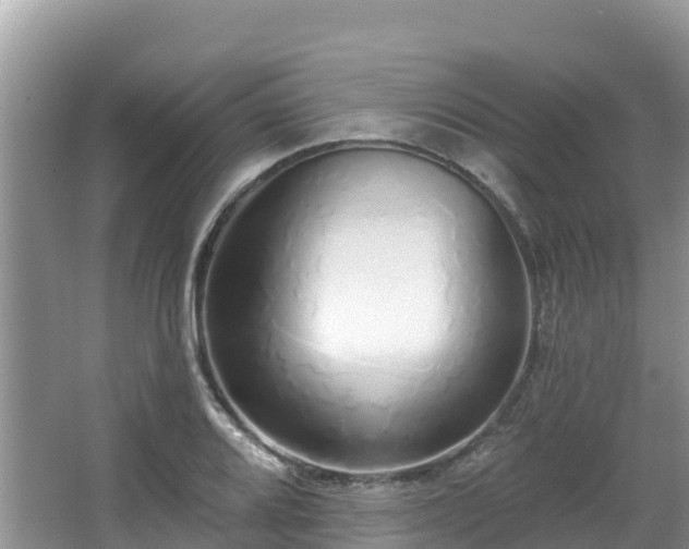 X0000067941080200604171454