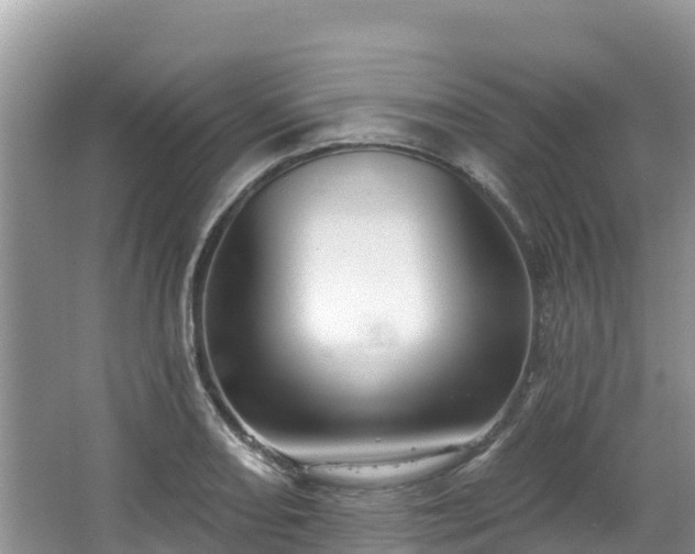 X0000067941082200604171454