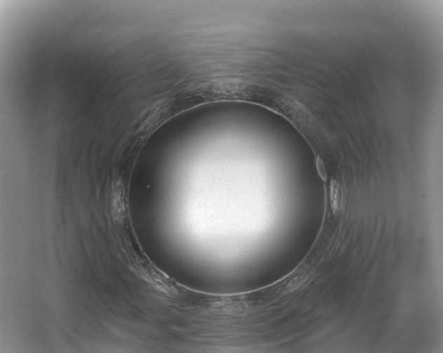 X0000067941107200604171453