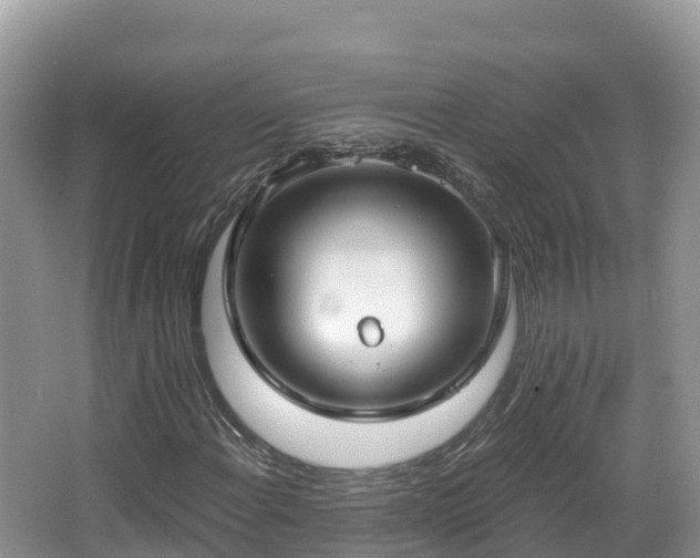 X0000067941108200604171453