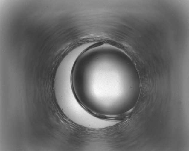 X0000067941110200604171453