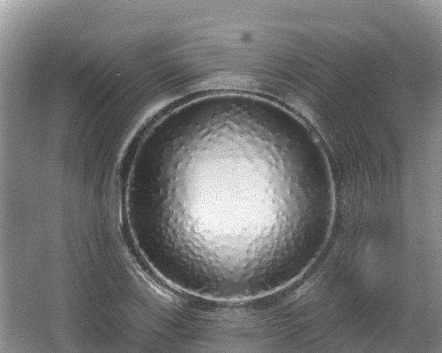 X0000067941123200604171453