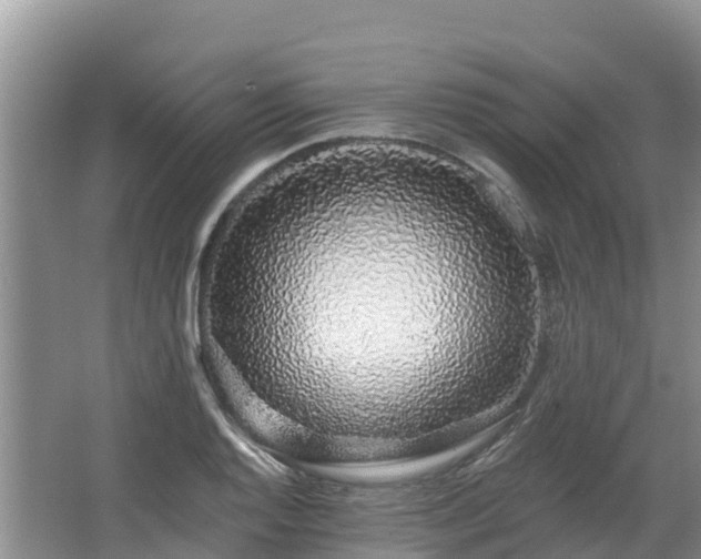 X0000067941128200604171453