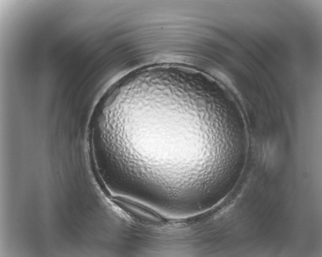 X0000067941133200604171454