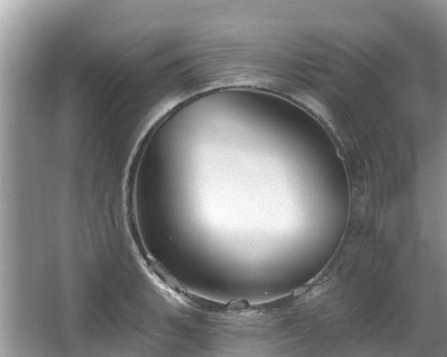 X0000067941135200604171454