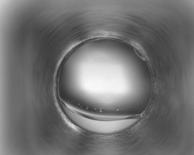 X0000067941136200604171454