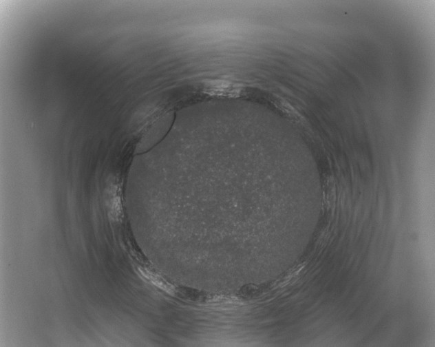 X0000067941154200604171453
