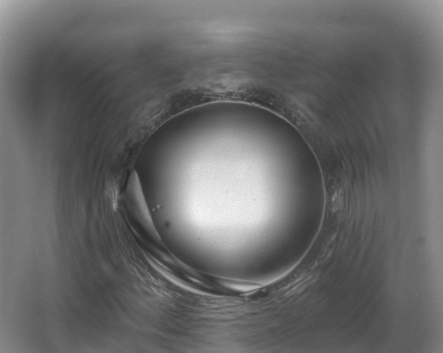 X0000067941156200604171453