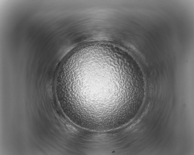 X0000067941162200604171453