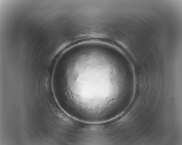 X0000067941163200604171453