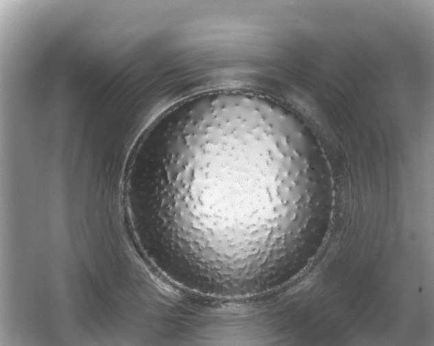 X0000067941178200604171453