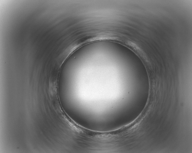 X0000067941185200604171453