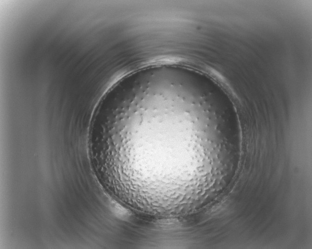 X0000067941186200604171453