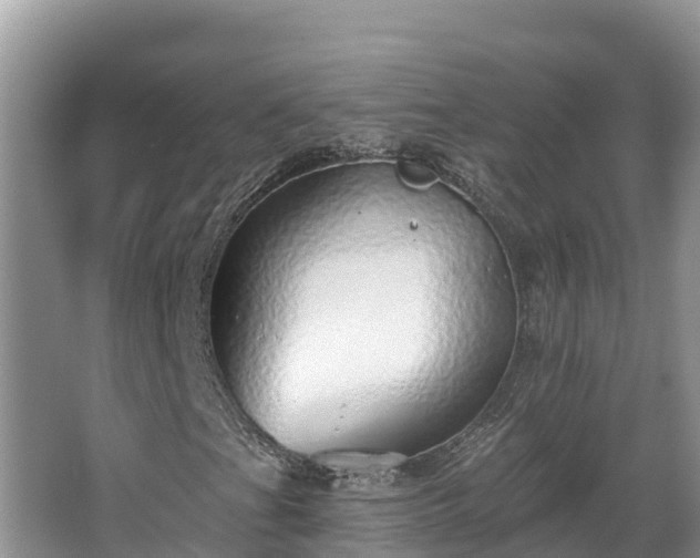 X0000067941201200604171451