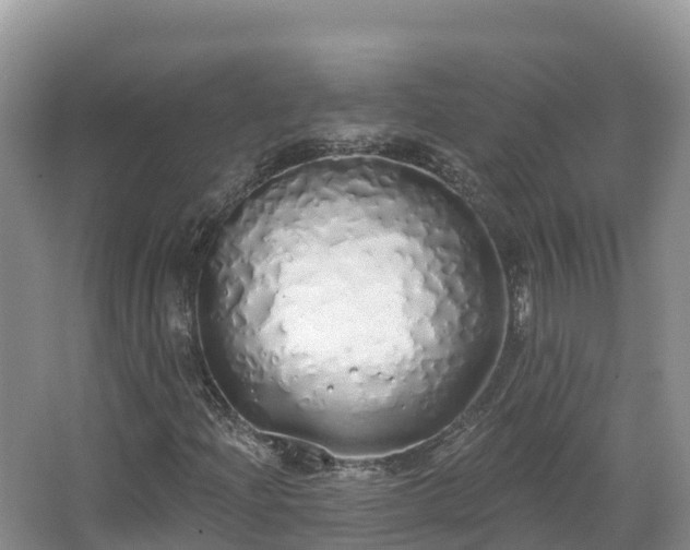 X0000067941204200604171452