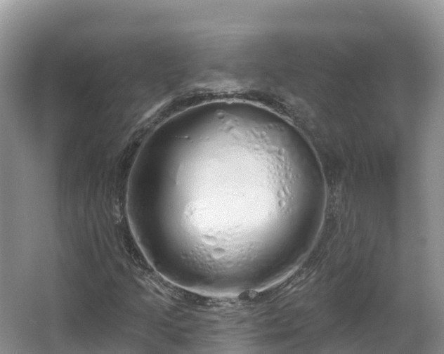 X0000067941205200604171452