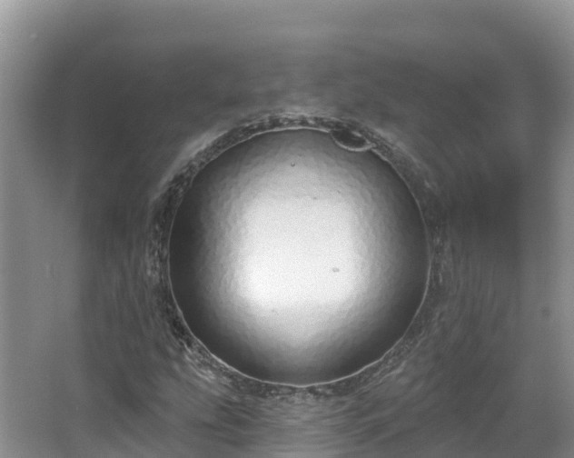 X0000067941207200604171452