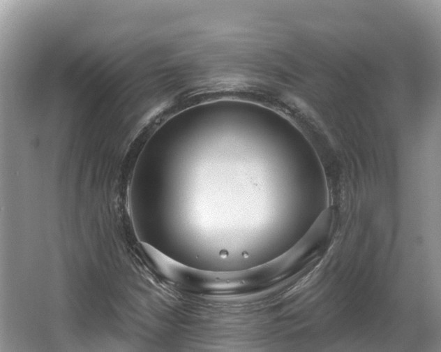X0000067941210200604171452