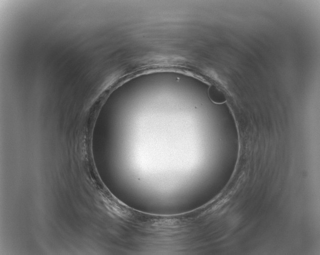 X0000067941211200604171452