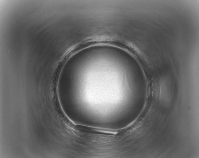 X0000067941213200604171452