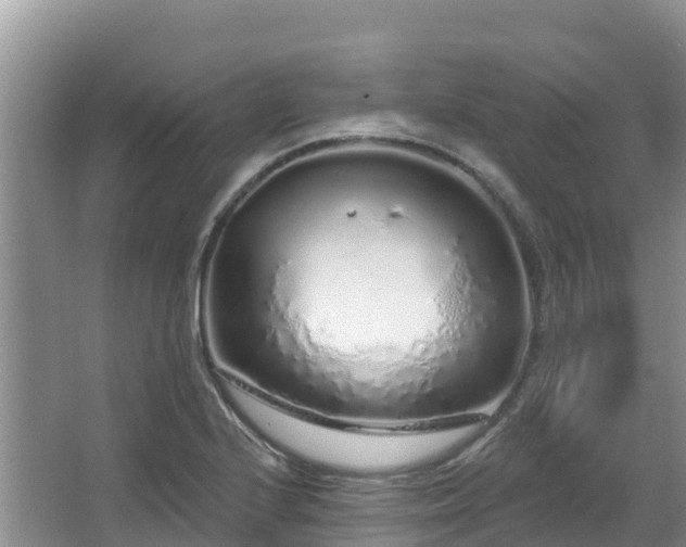 X0000067941224200604171452