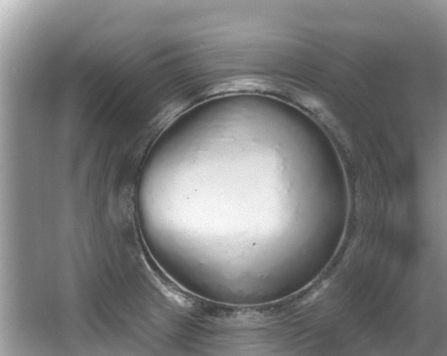 X0000067941233200604171452