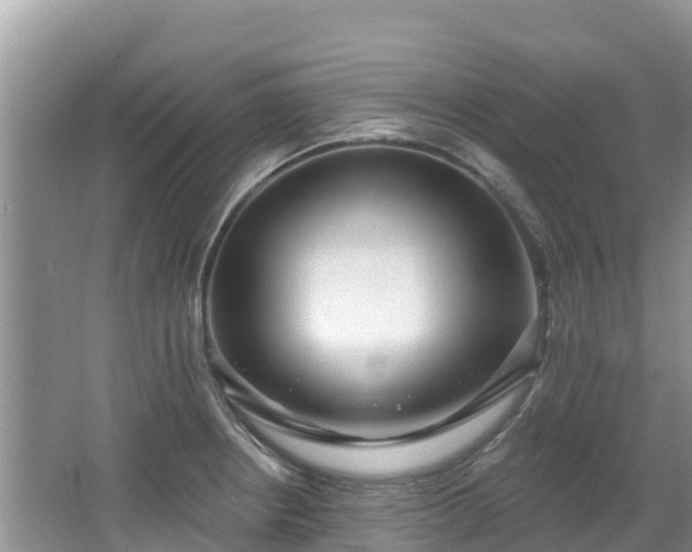 X0000067941234200604171452