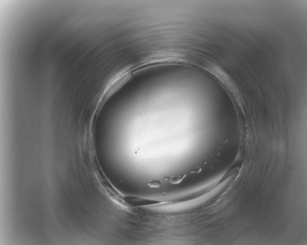 X0000067941242200604171452