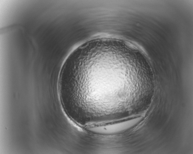 X0000067941247200604171452