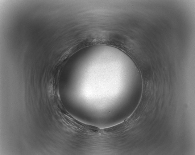 X0000067941250200604171451
