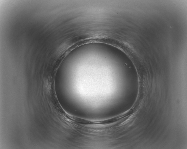 X0000067941257200604171451