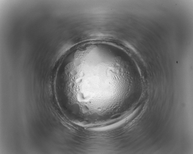 X0000067941259200604171451