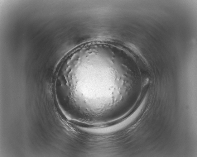 X0000067941260200604171451