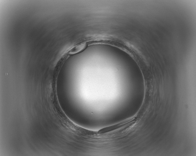 X0000067941261200604171451