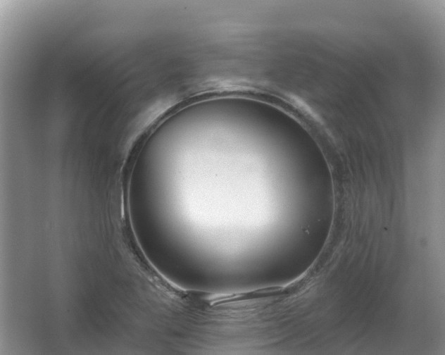 X0000067941269200604171451
